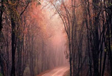 星空体育:【球星】理查德森vs密西西比大学集锦 20+6诛心三分箭箭穿心关键上篮率队反超.