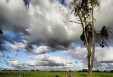 星空体育：首届国乒成都基地少儿乒乓球公开赛落幕2025-02-16.