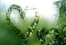 星空体育：加克波为荷兰队出战前37场比赛参与21球，本世纪仅次于亨特拉尔.