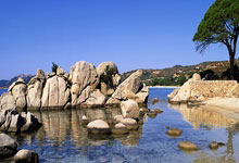 神仙对决！樊振东3比1战胜王楚钦九派新闻.